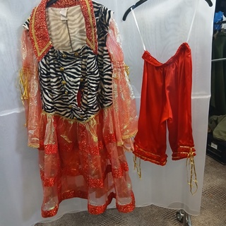 Barokke pakken verkleedkleding/carnaval